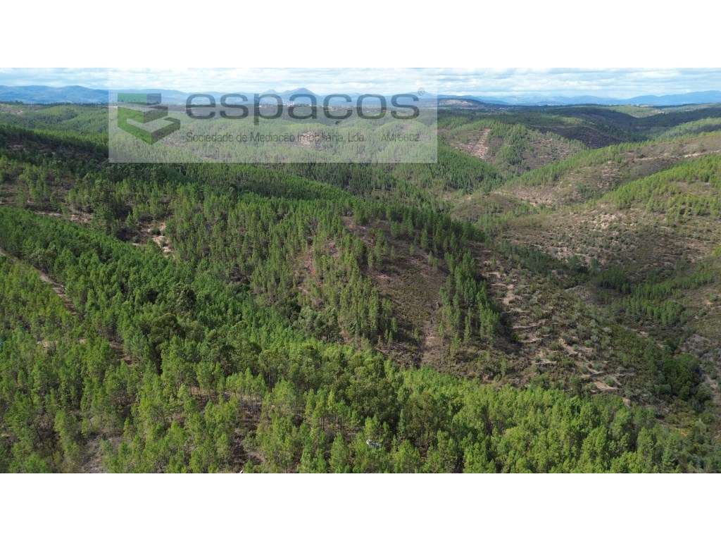 Terreno - Grande imagem: 2/8
