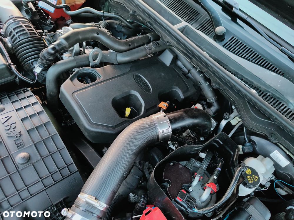 Ford Ranger 2,0 l EcoBlue XLT - 15