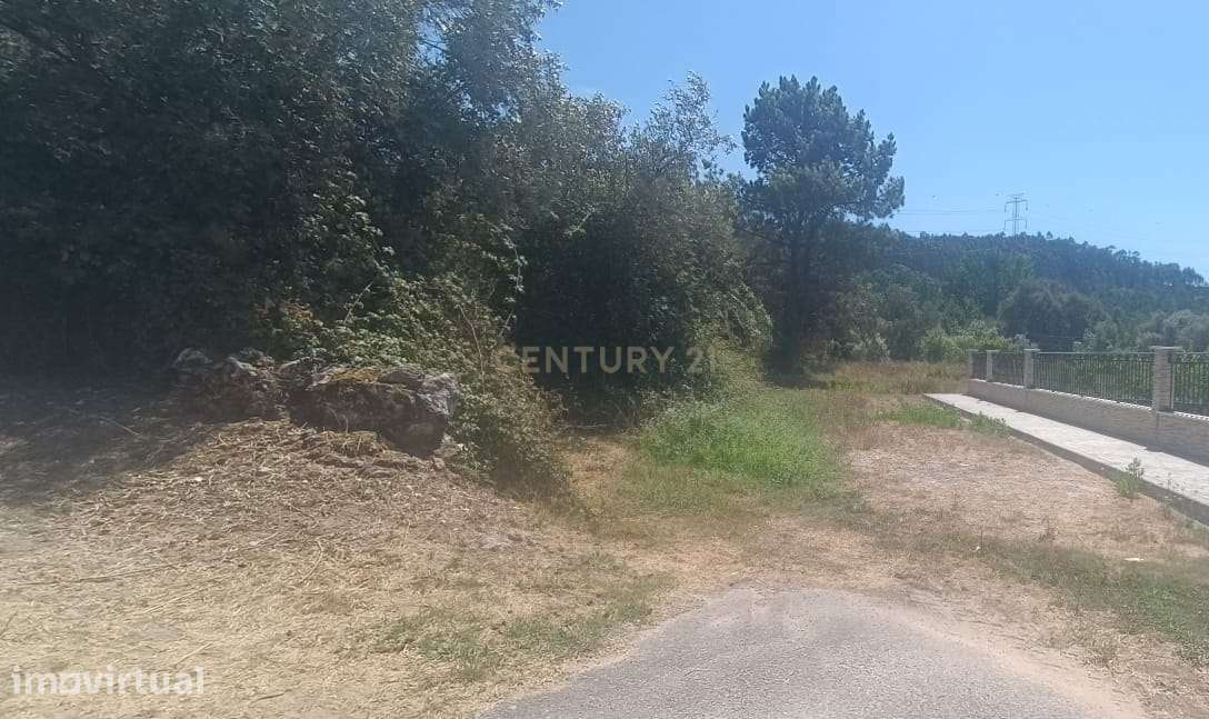 Terreno Rústico 2.970 m² em Milagres, Leiria - Grande imagem: 2/3