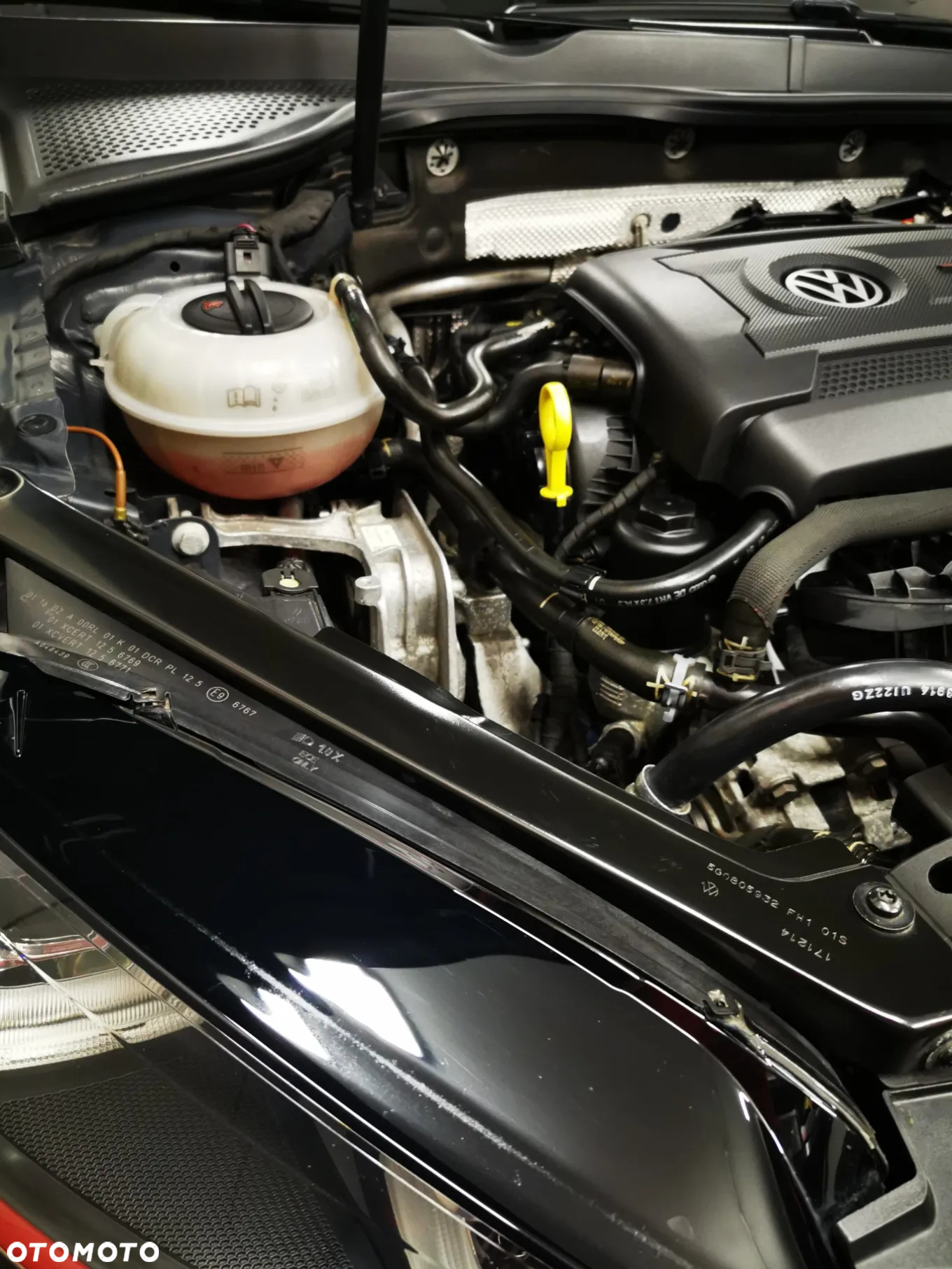 Volkswagen Golf VII 2.0 TSI BMT GTI Performance DSG - 3