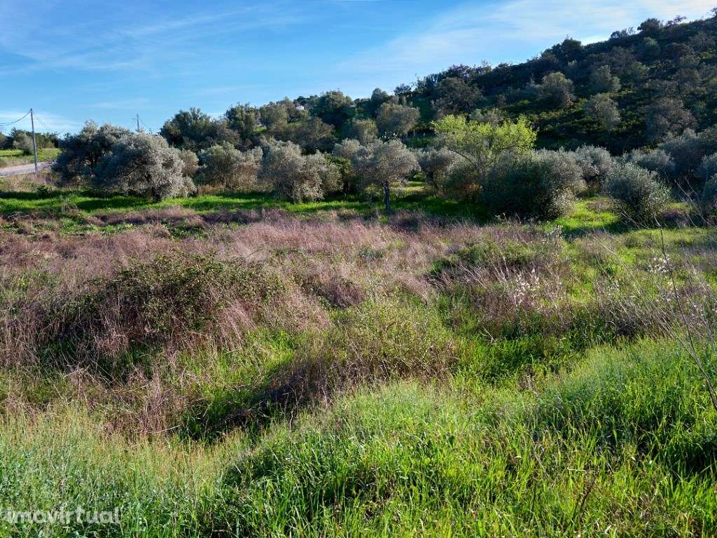 Terreno Rústico - Natureza e Tranquilidade perto de Alcoutim - Grande imagem: 3/12