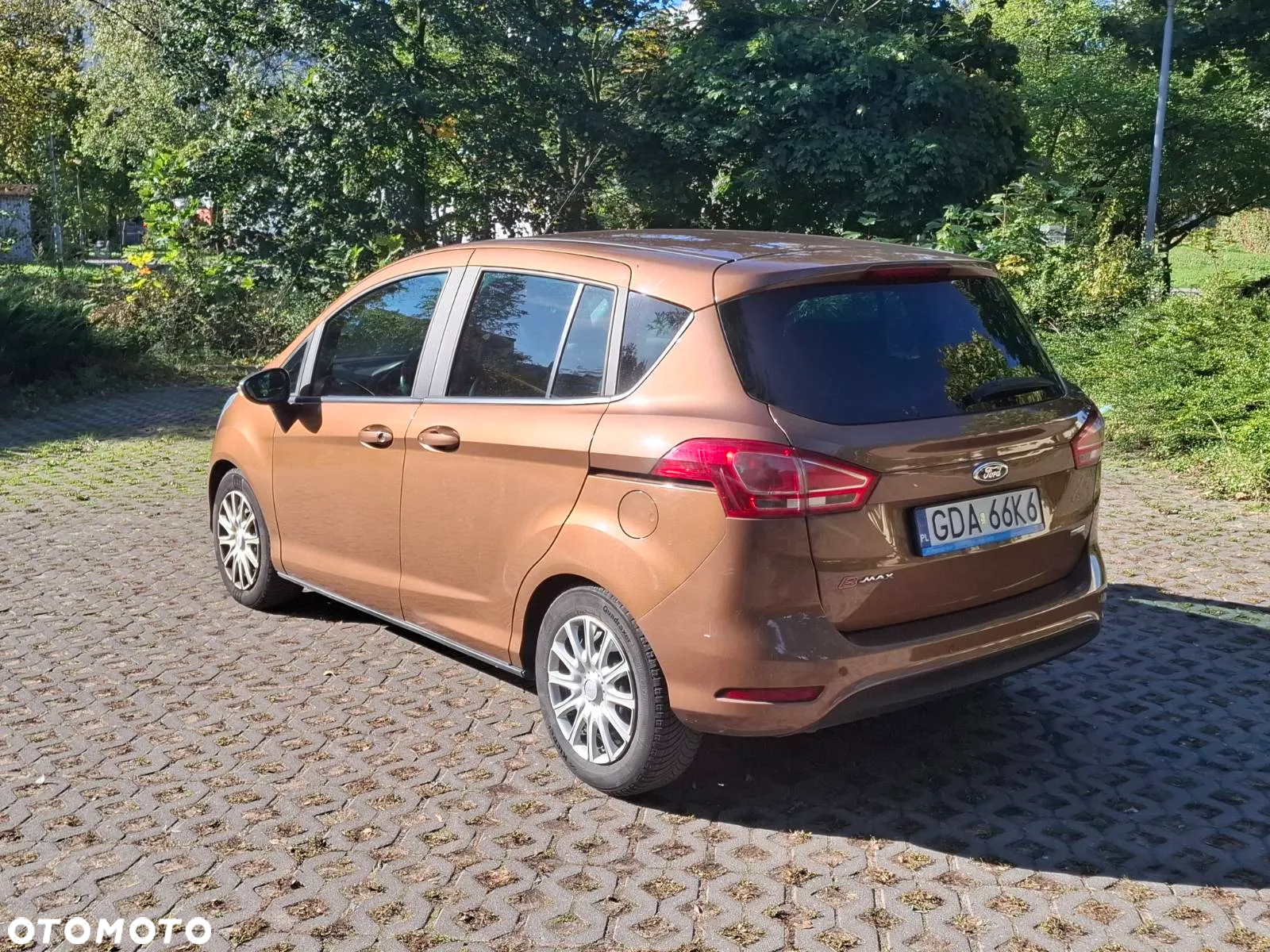 Ford B-MAX 1.0 EcoBoost Trend - 5