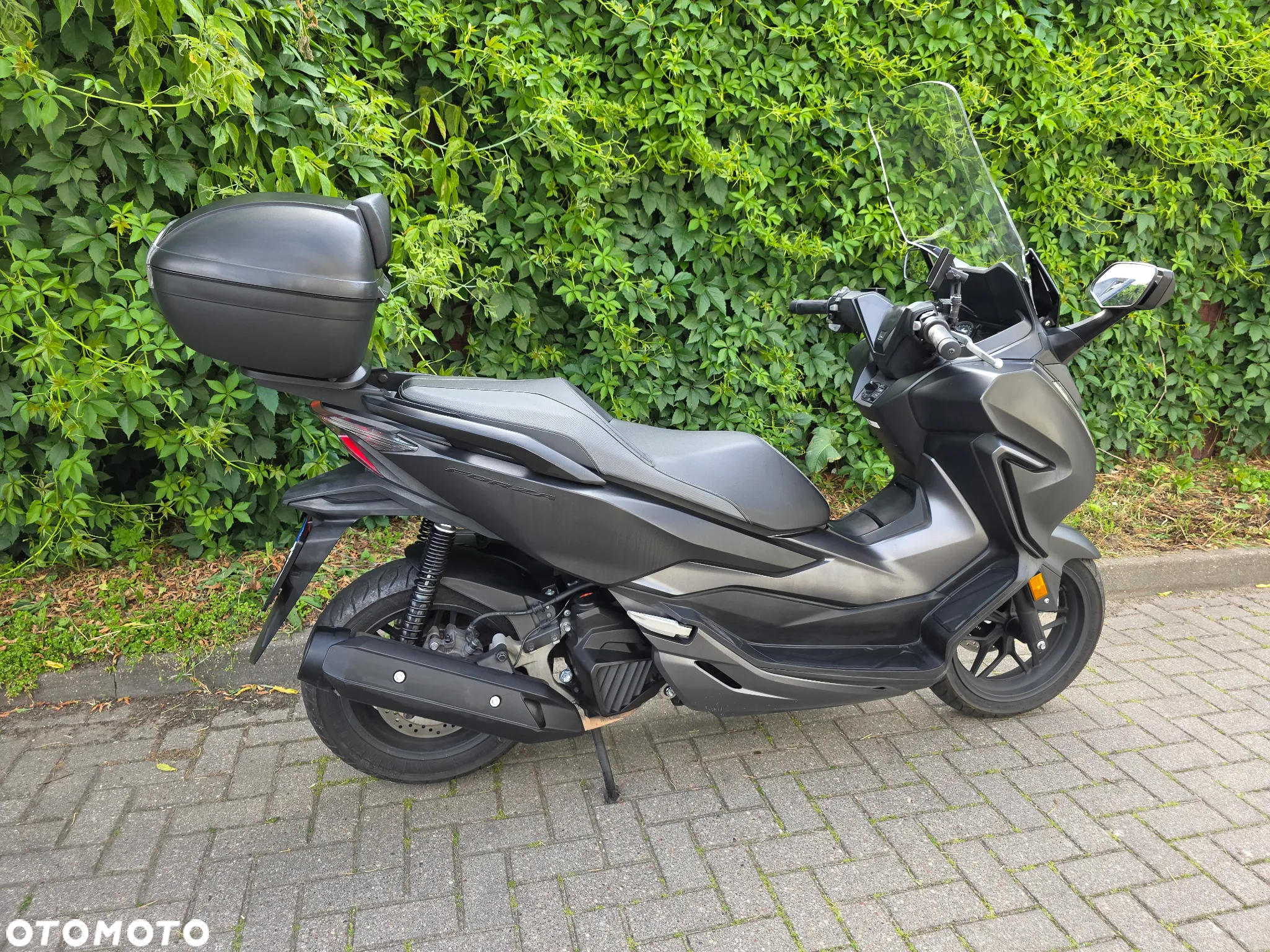 Honda Inny - 7