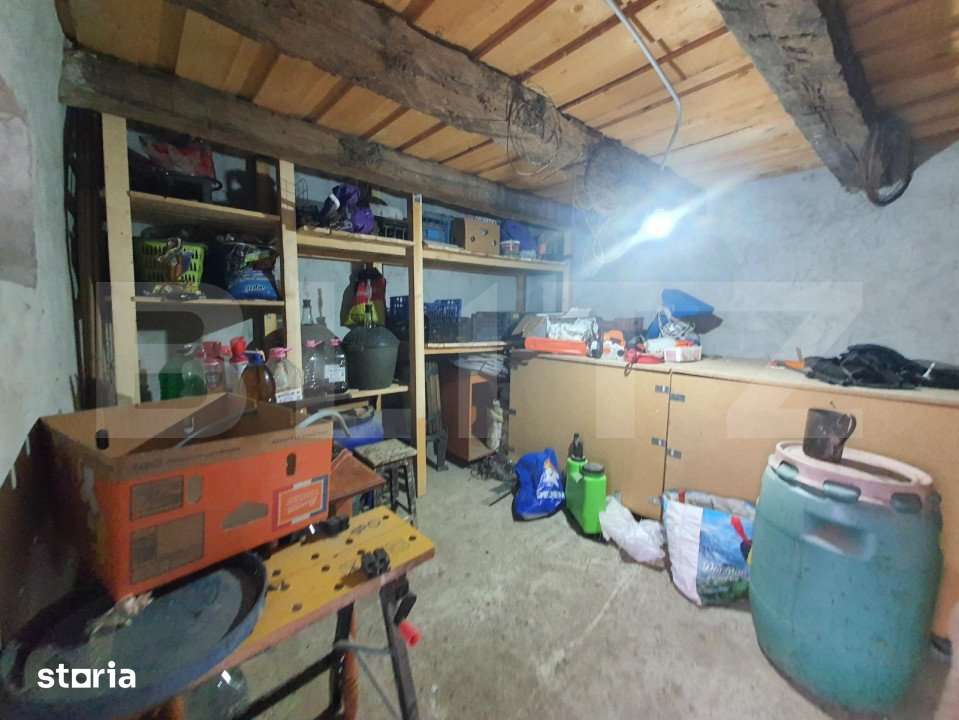 Casa individuala + 7,1 ha de teren dispersat, in Pinticu - Imagine principală: 2/9