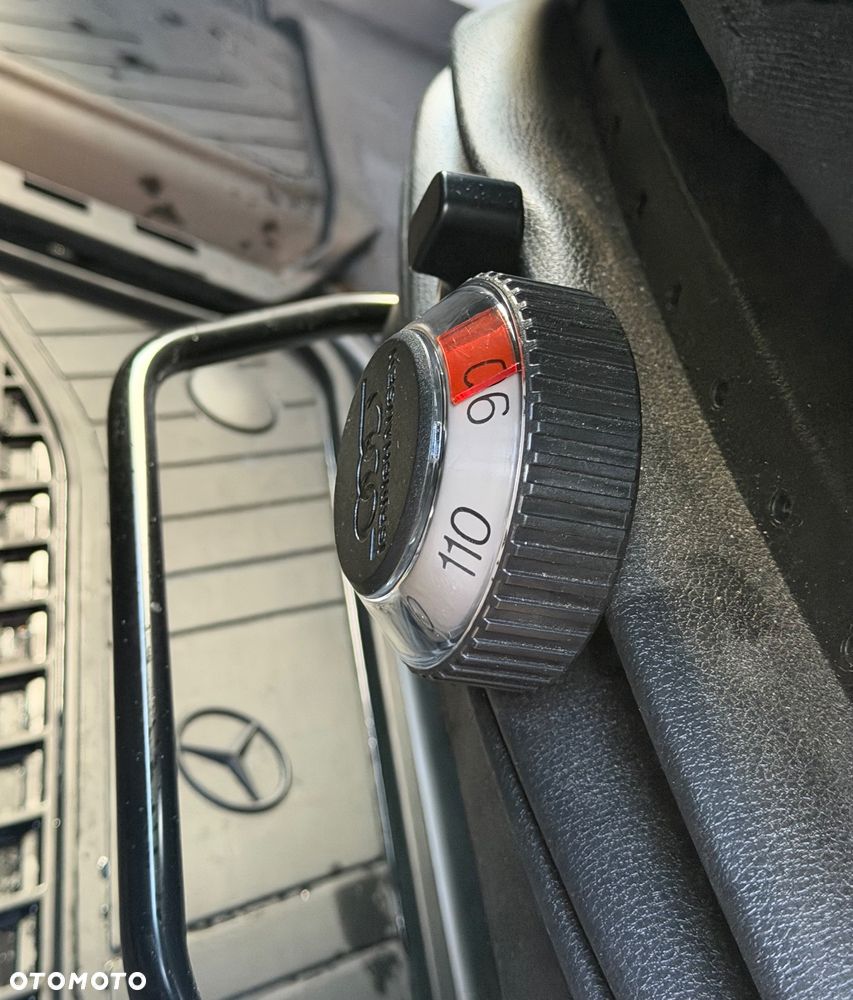 Mercedes-Benz Sprinter 319 - 10