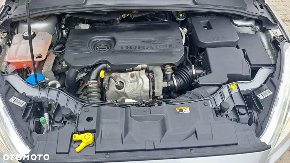 Ford Focus - 16