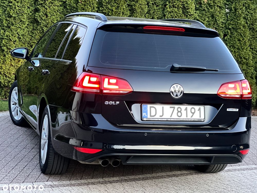 Volkswagen Golf - 21