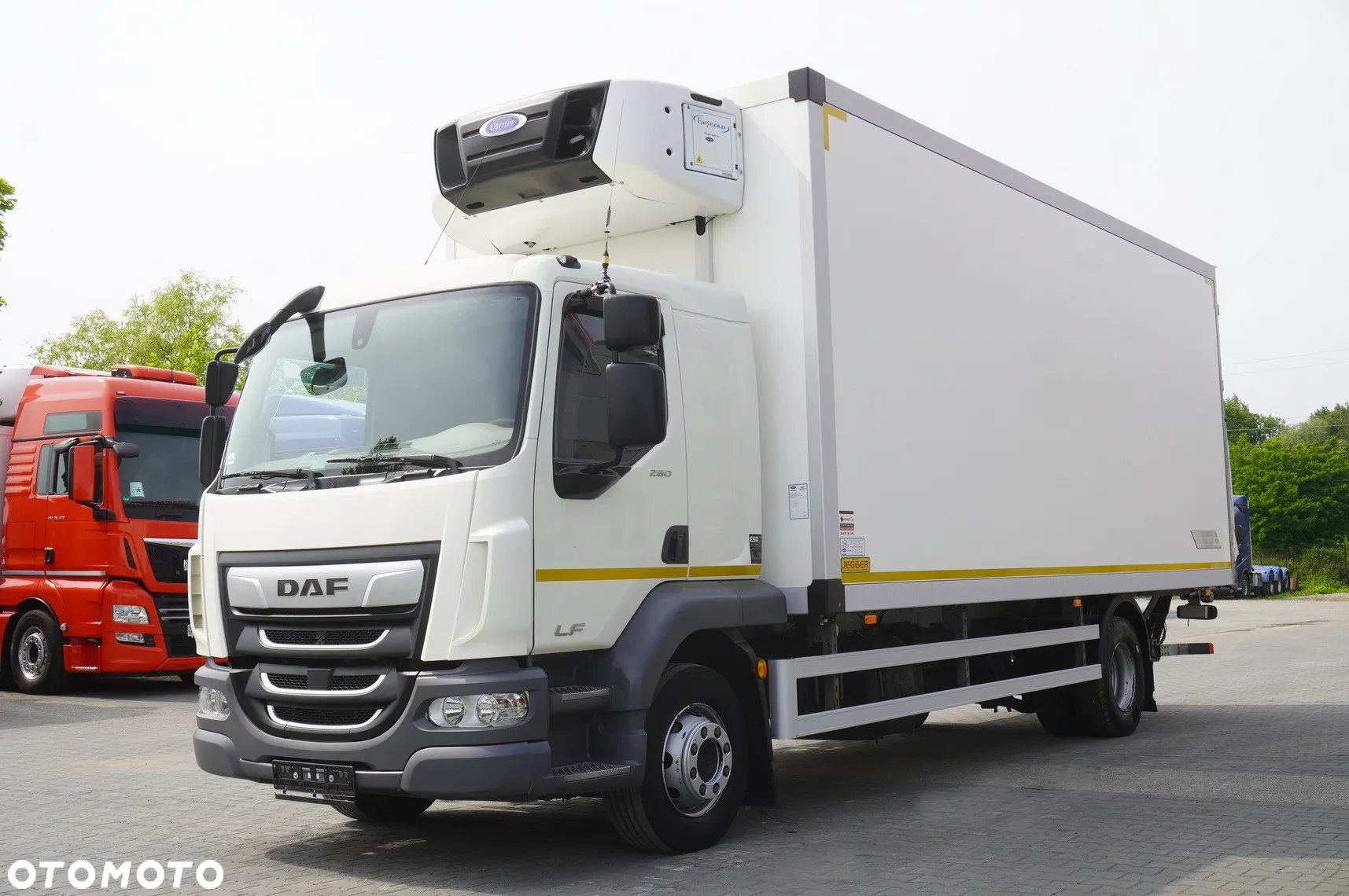DAF DAF LF 16.260 / Chłodnia Jegger / Carrier Supra 750 / Dhollandia 1500 kg / Kab. sypialna - 7