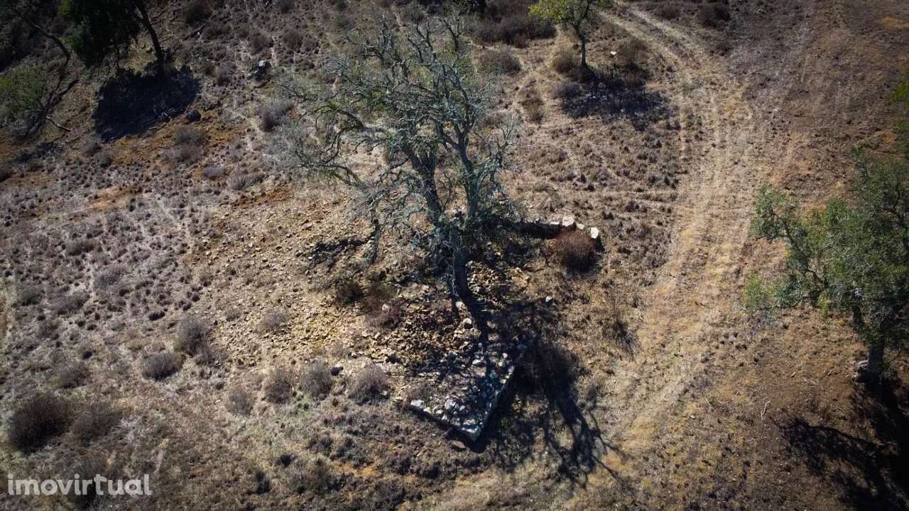 Terreno de 5,775 ha em São Francisco (próximo da Cruz de João Mende - Grande imagem: 2/5