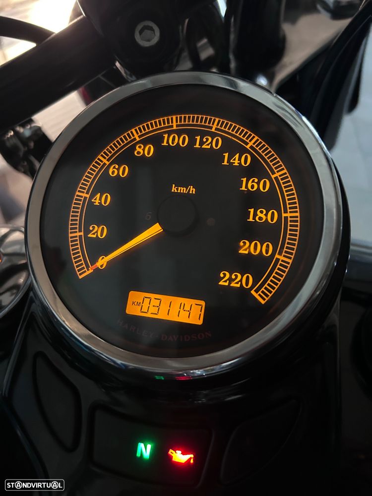 Harley-Davidson FLST - 18