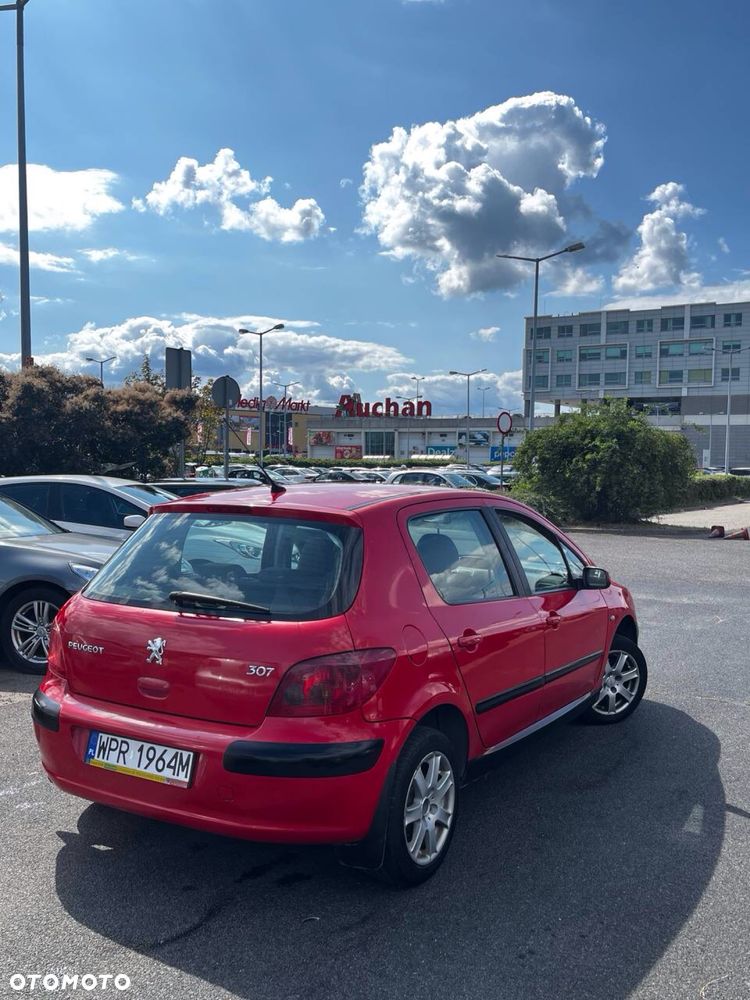 Peugeot 307 - 4