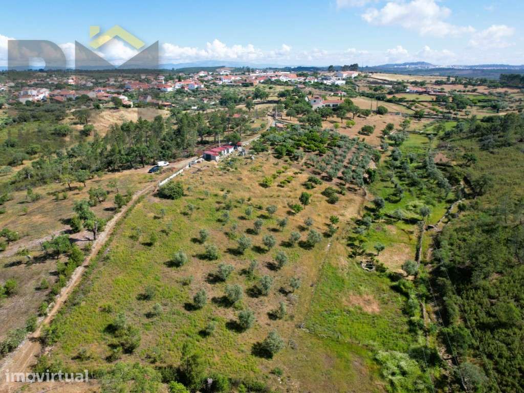 Quintinha em Maxiais, aldeia situada a 5km de Castelo Branco. - Grande imagem: 4/5