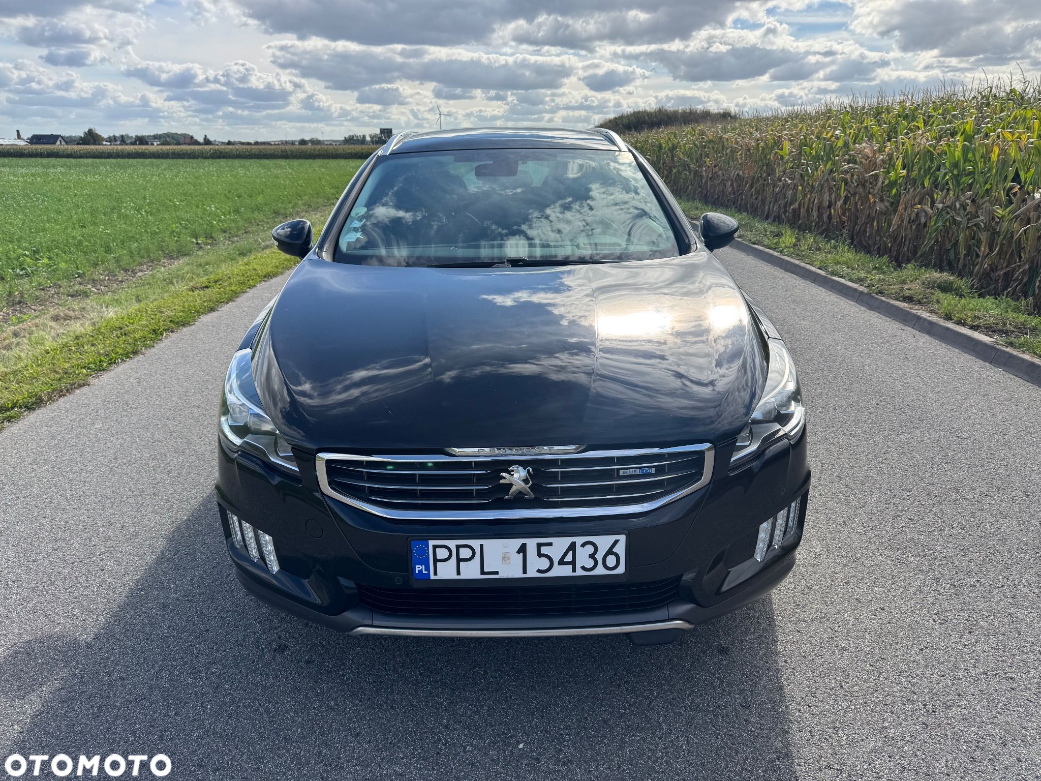 Peugeot 508 2.0 BlueHDi RXH S&S - 1