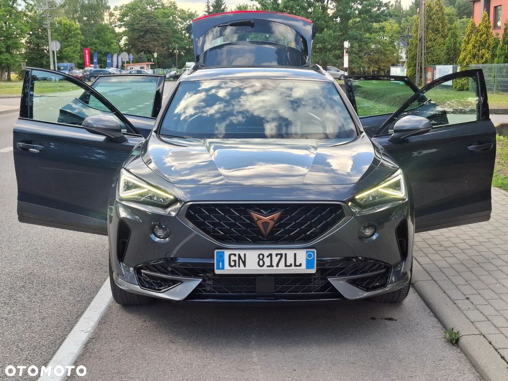 Cupra Formentor 1.5 TSI DSG Tribe Edition - 28
