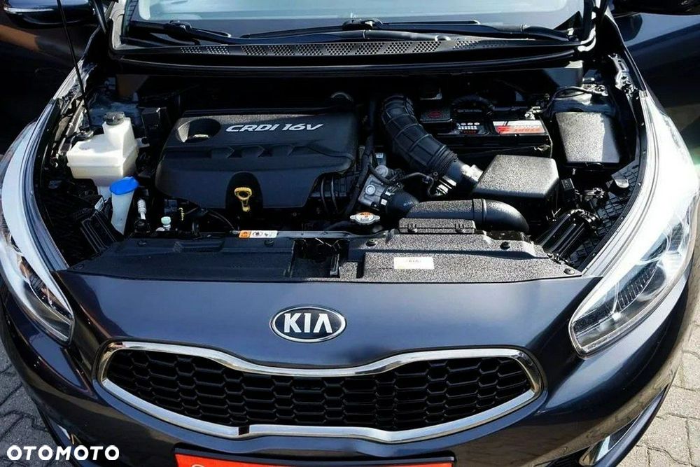 Kia Ceed - 8