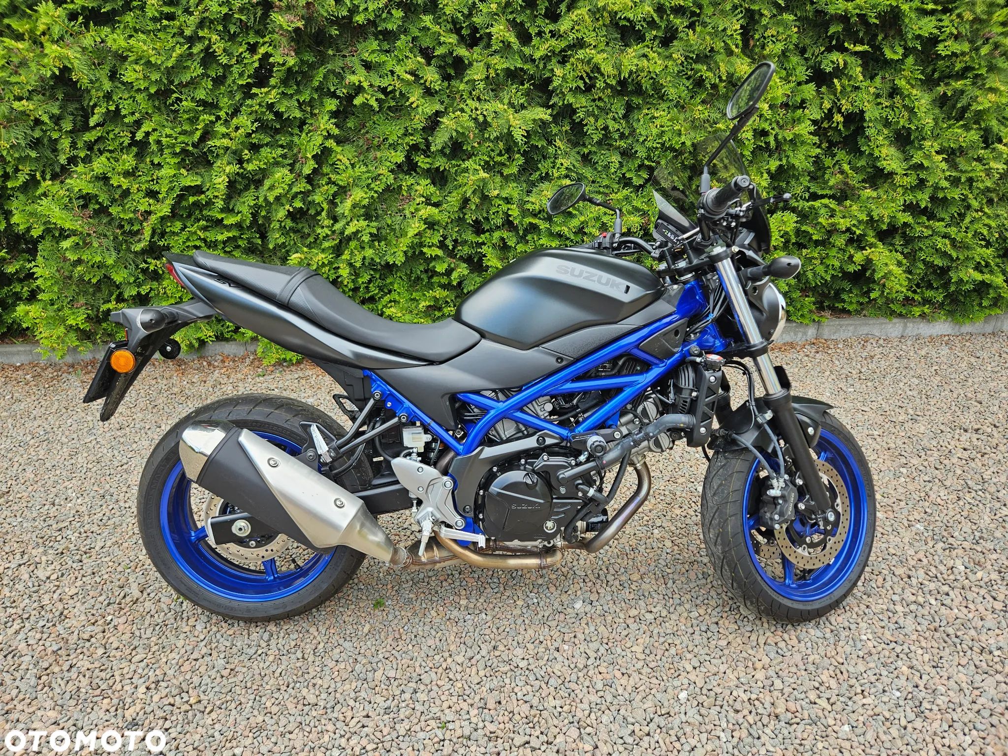 Suzuki SV - 1
