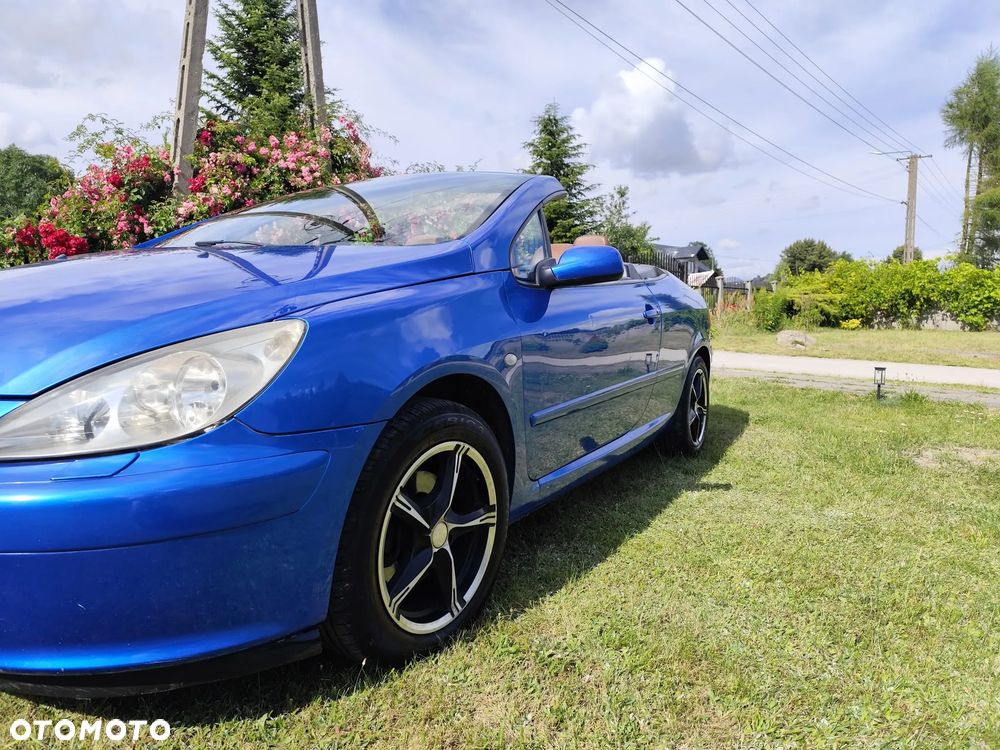 Peugeot 307 CC 2.0 - 13