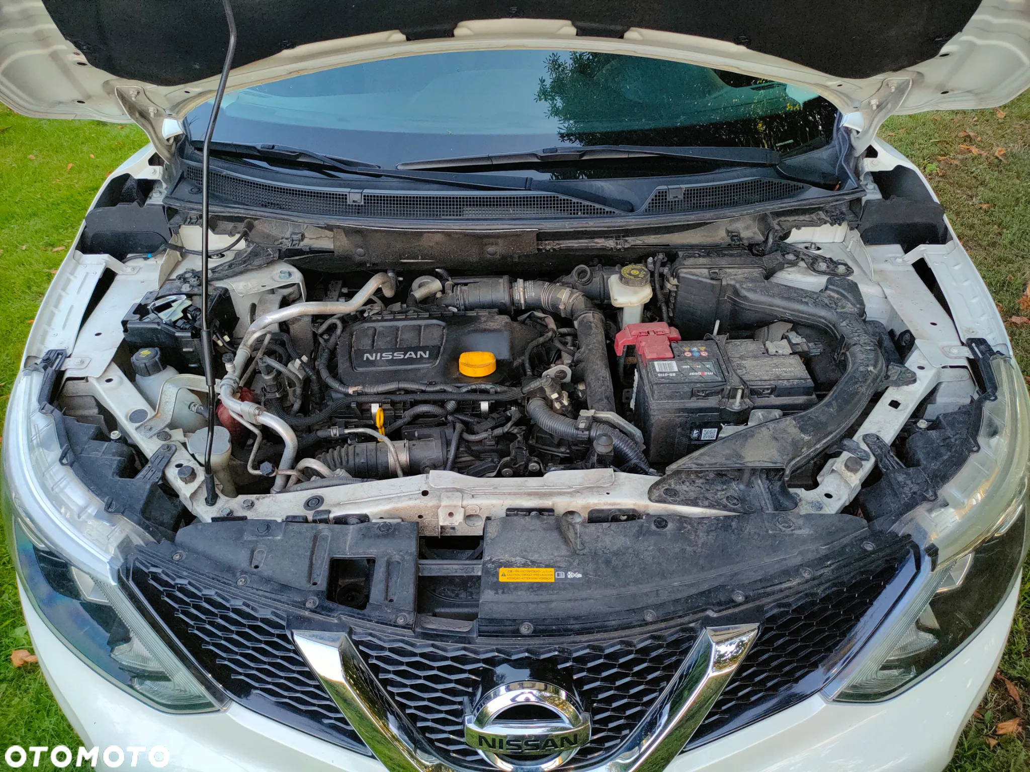 Nissan Qashqai 1.6 DCi Acenta EU6 - 21