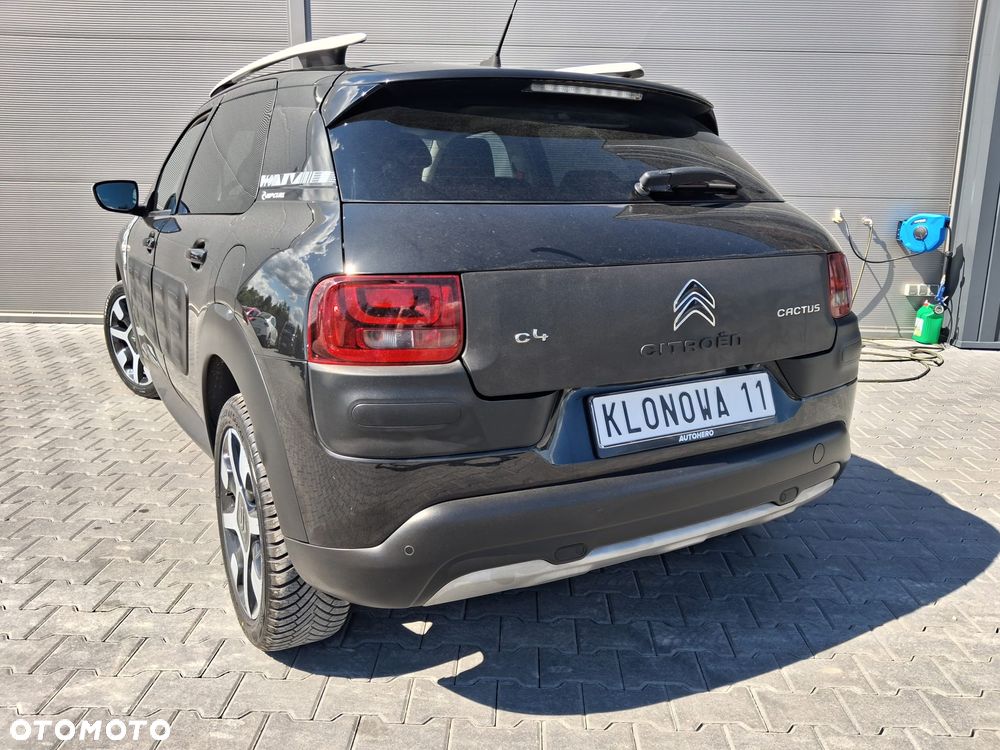 Citroën C4 Cactus Pure Tech 110 Stop&Start Rip Curl - 7