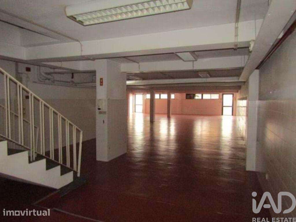 Loja / Estabelecimento Comercial em Cedofeita, Santo Ildefonso, Sé, Mi - Grande imagem: 5/14