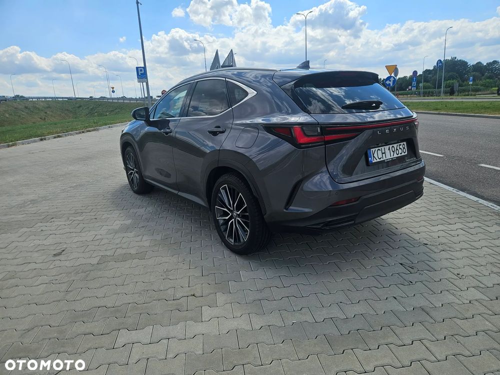 Lexus NX 450h+ Omotenashi AWD - 6