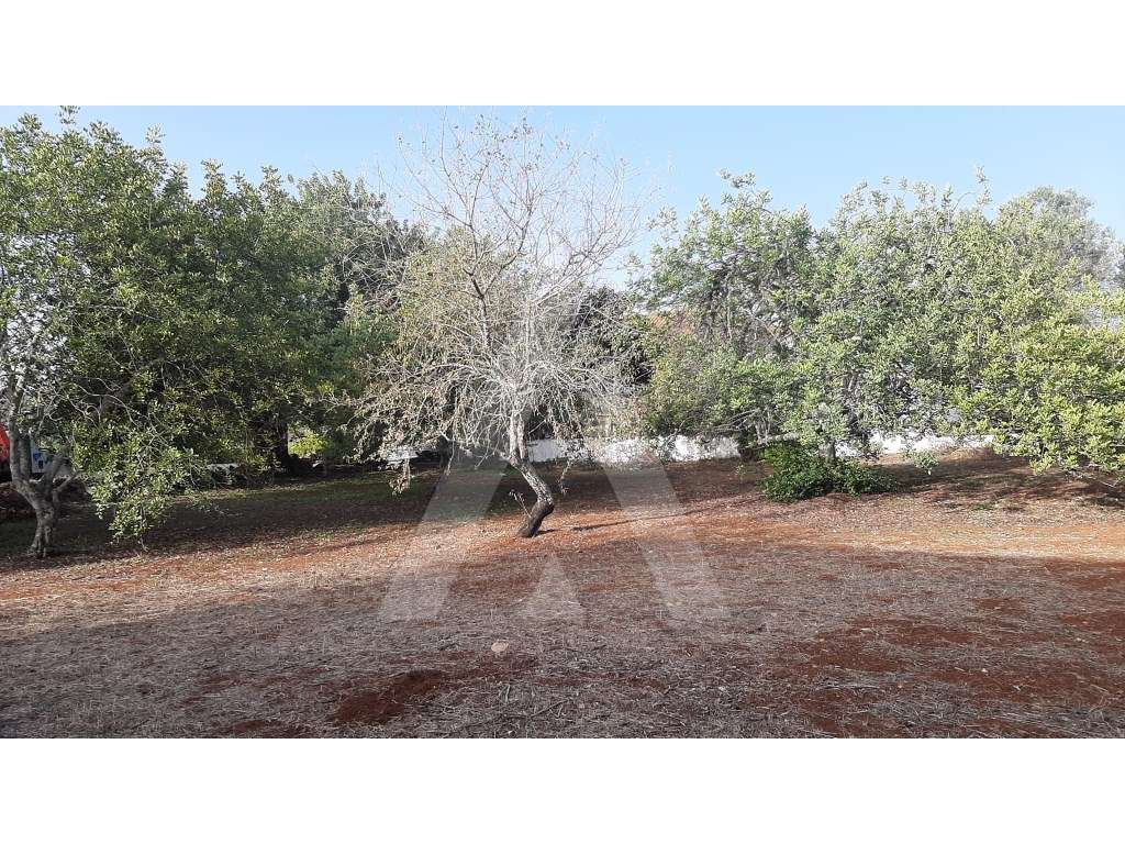 Lote de terreno para construção, com vista sobre a serra, em São Br... - Grande imagem: 5/9