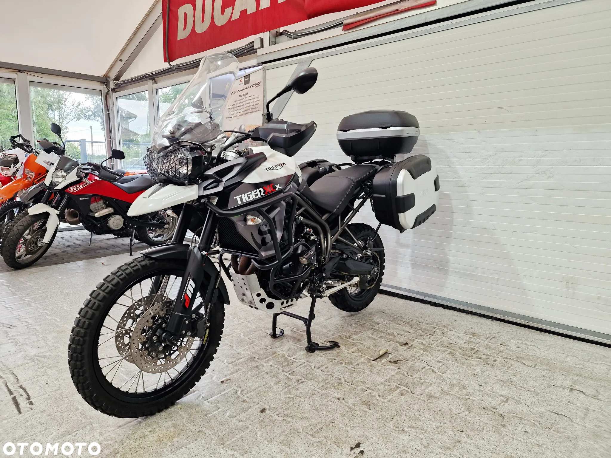 Triumph Tiger - 15
