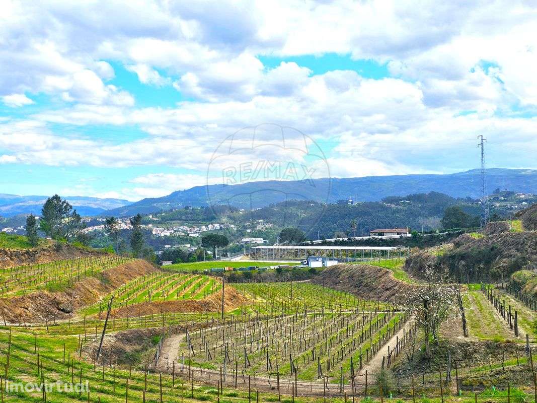 Herdade  para venda - Grande imagem: 3/13