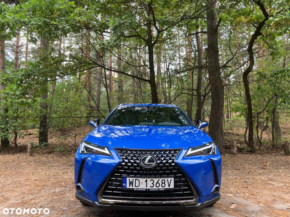 Lexus UX 300h - 2