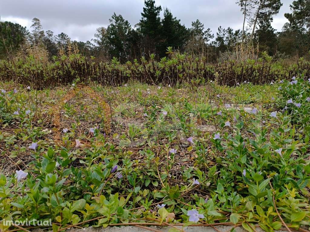 Terreno Misto - Grande imagem: 4/4