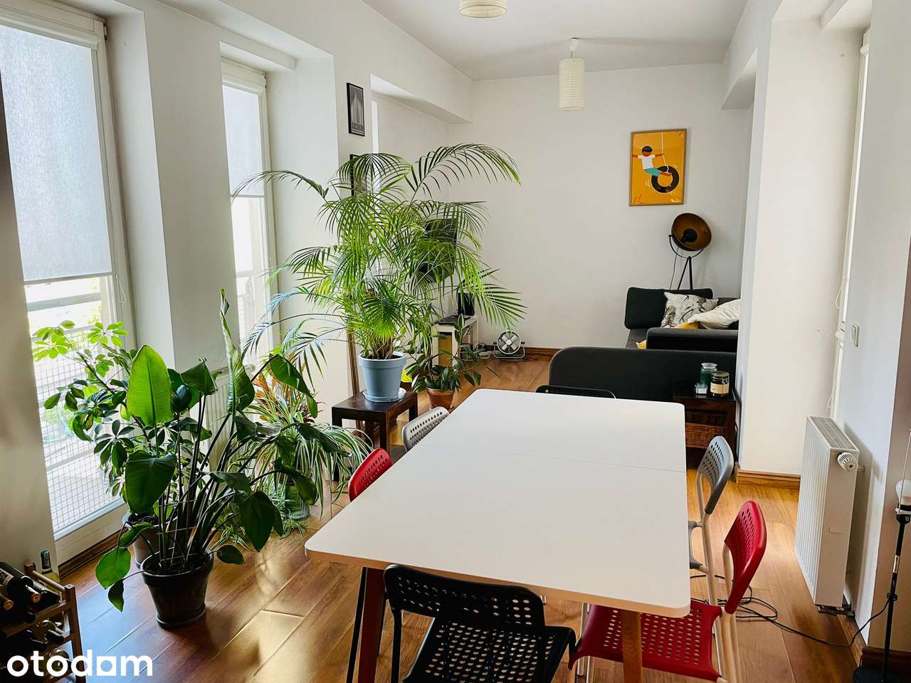 Apartament nad jeziorem