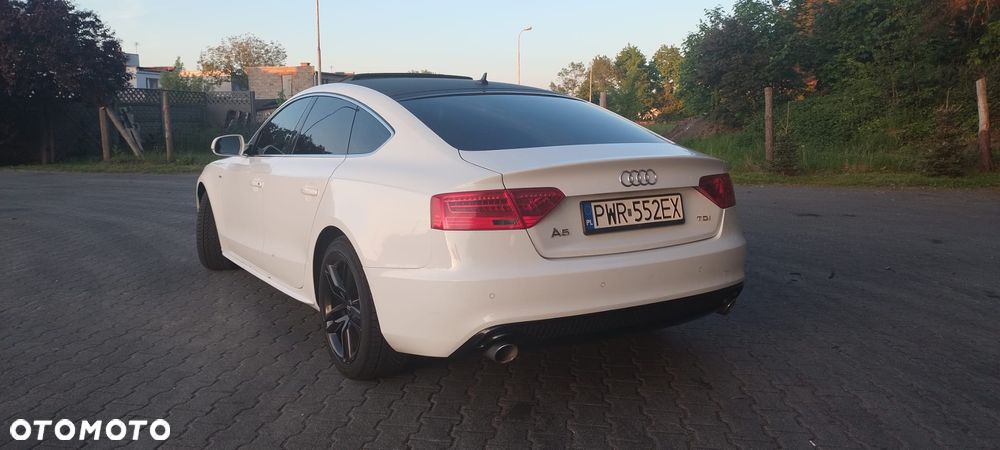 Audi A5 Sportback 3.0 TDI Multitronic - 13