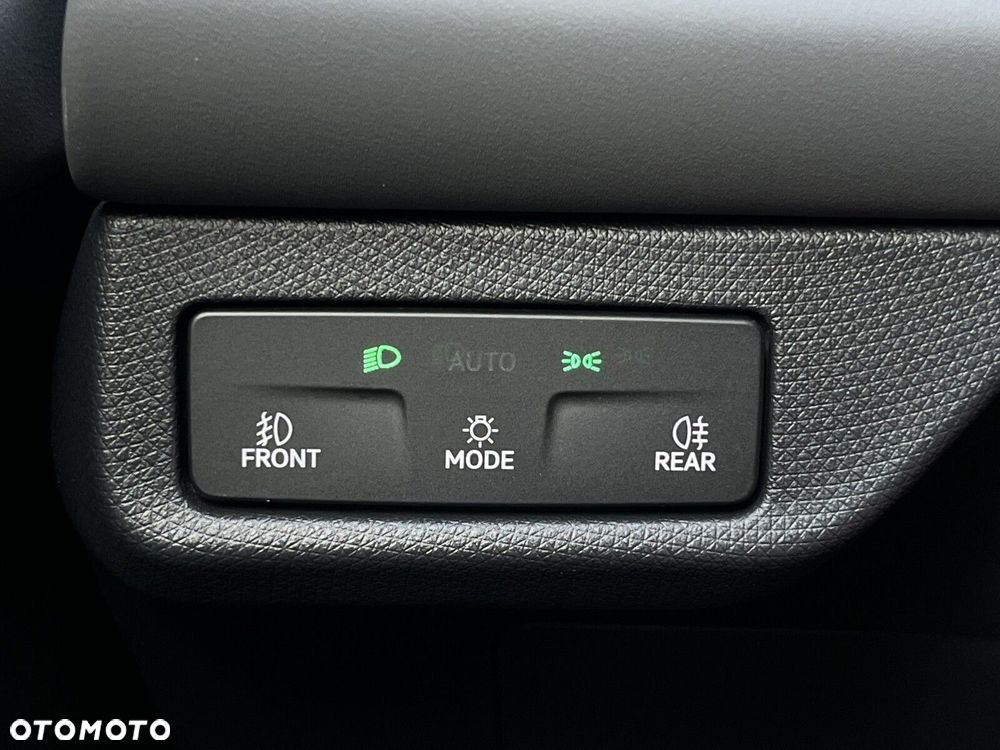 Cupra Terramar 2.0 TSI 4Drive DSG - 26