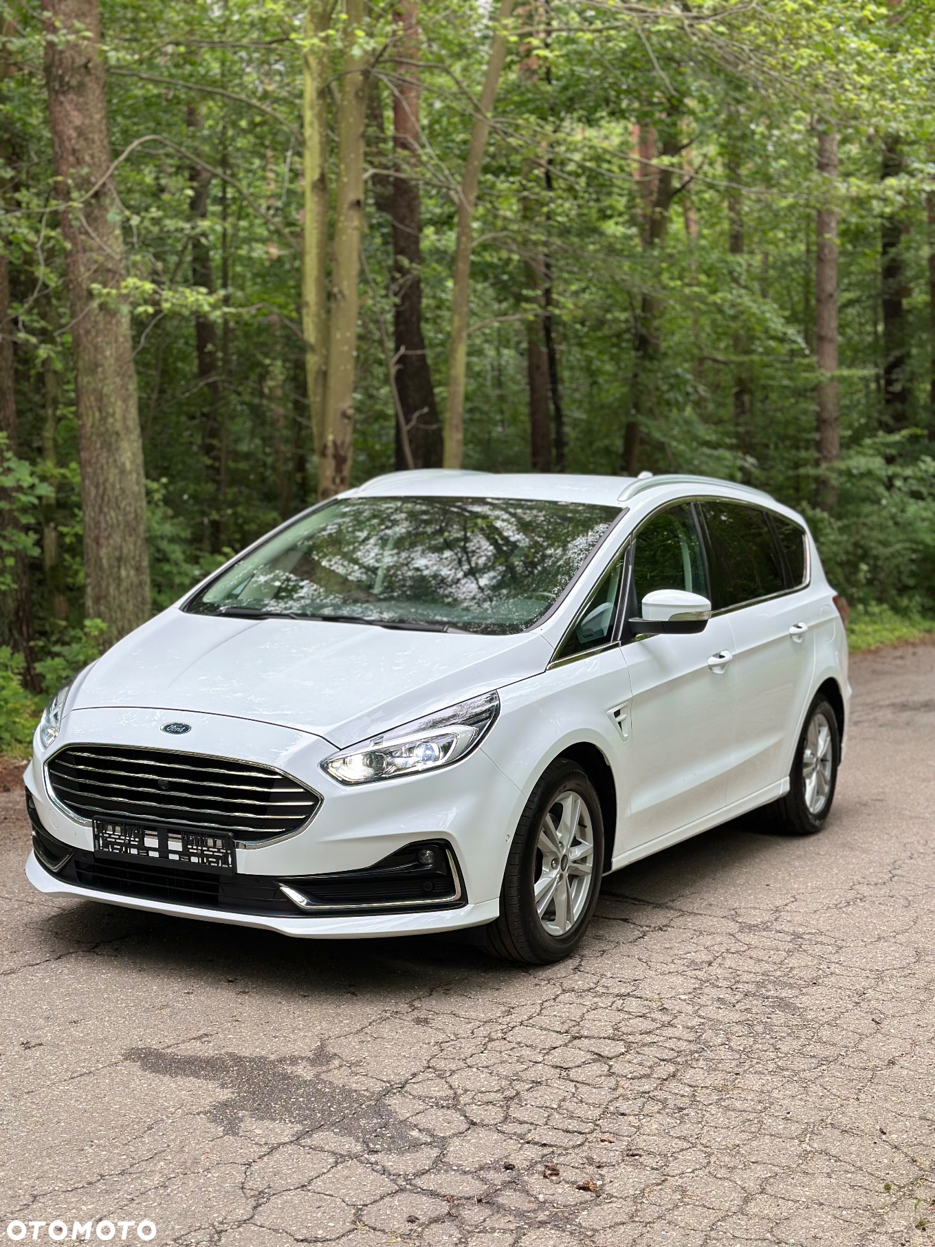Ford S-Max 2.0 EcoBlue TITANIUM - 9