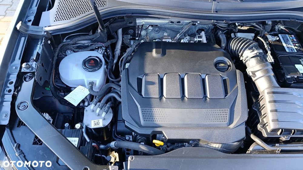 Volkswagen Tiguan - 21