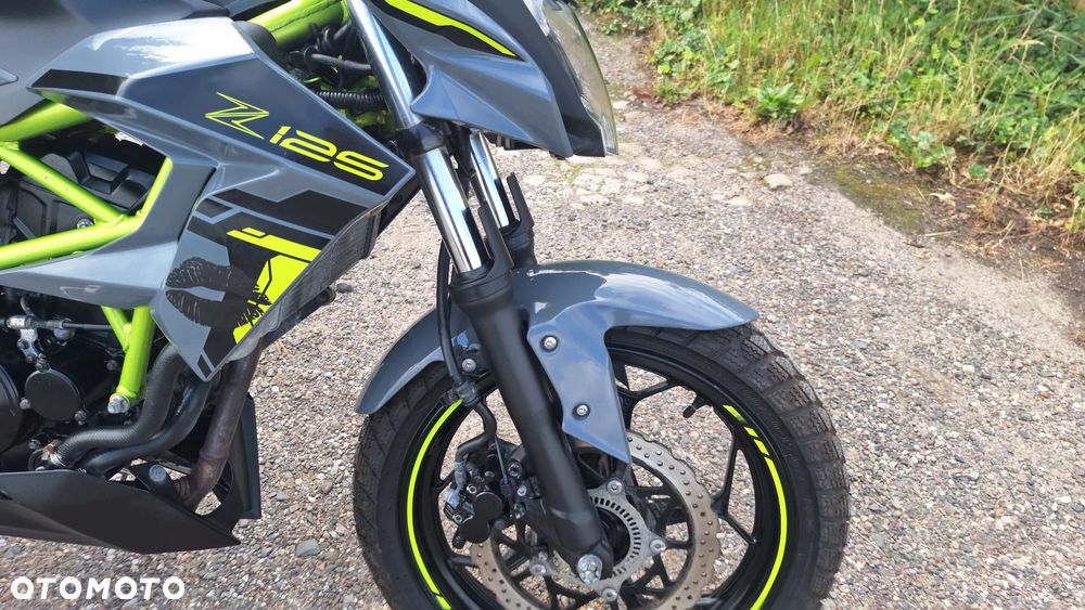 Kawasaki Z - 6