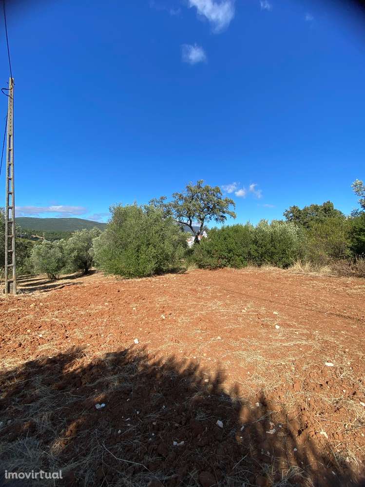 Armazém  Venda em Alcanena e Vila Moreira,Alcanena - Grande imagem: 2/6