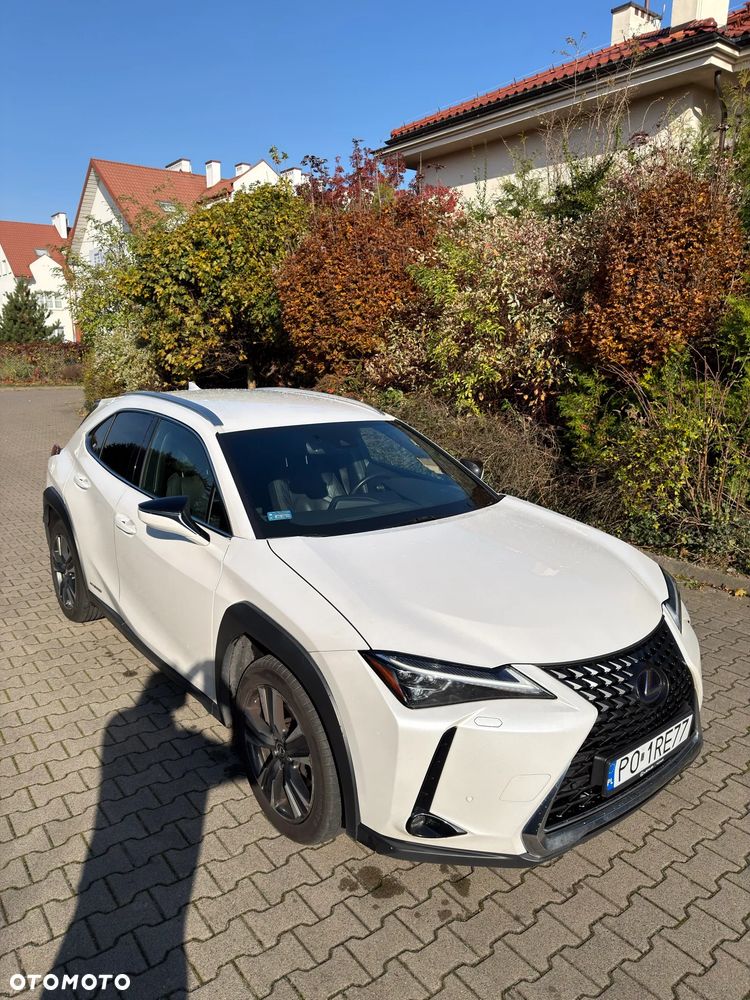 Lexus UX - 6
