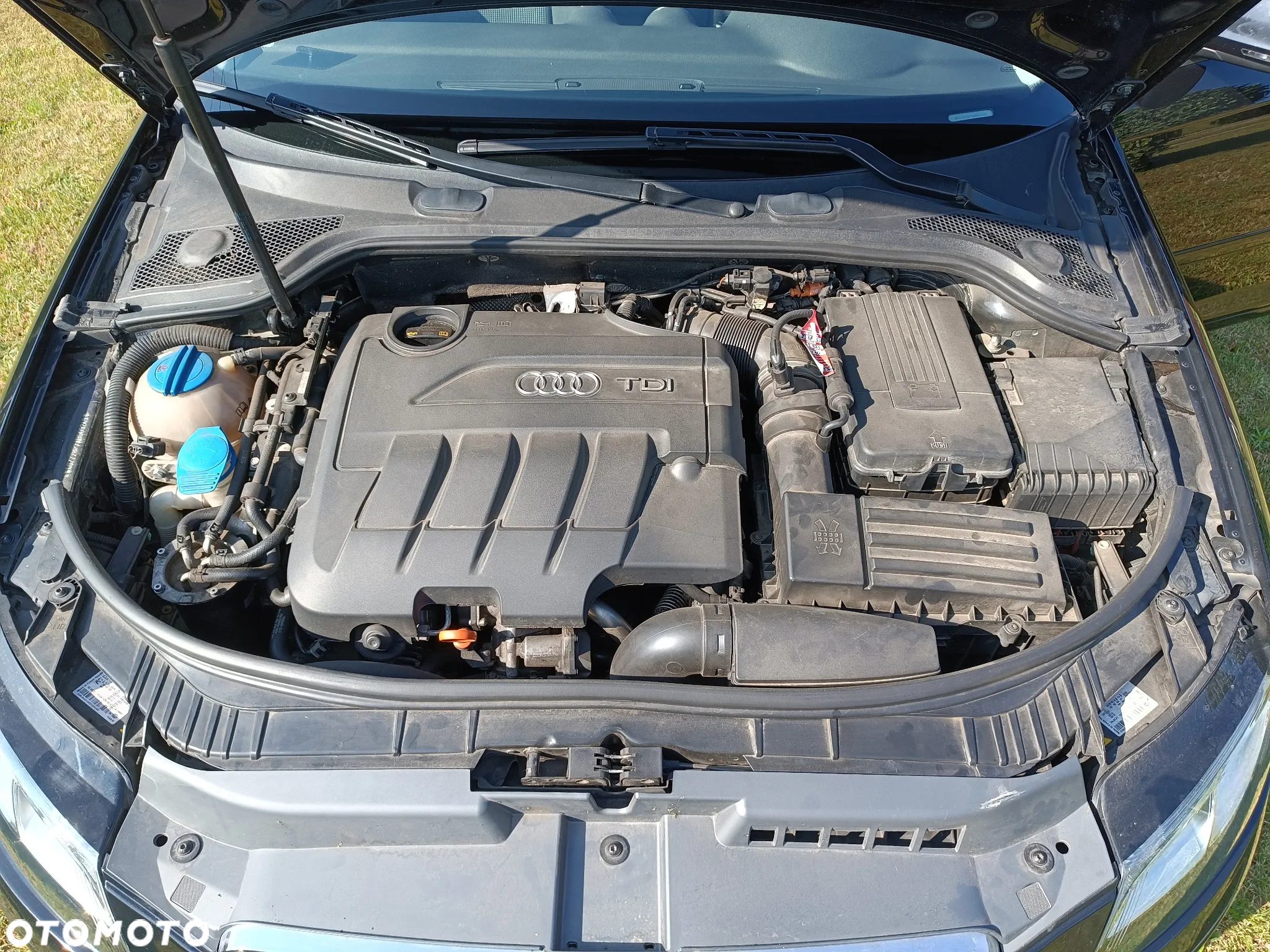 Audi A3 - 23