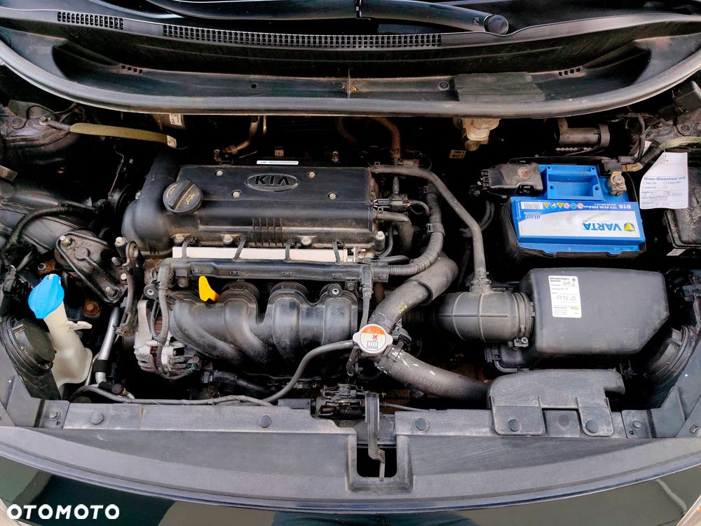 Kia Rio 1.4 Fifa World Cup Edition - 35