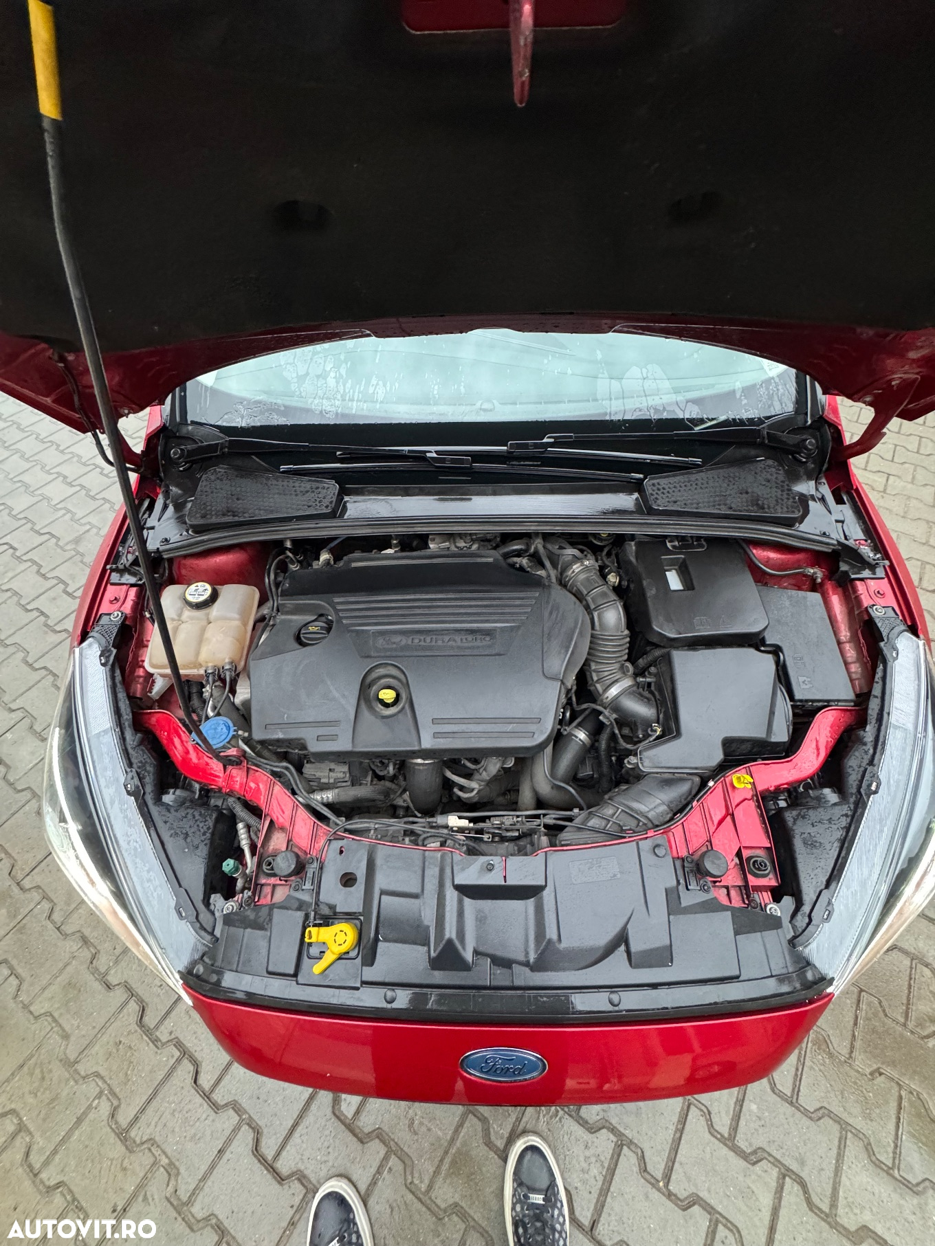 Ford Focus 2.0 TDCI Powershift Titanium - 14