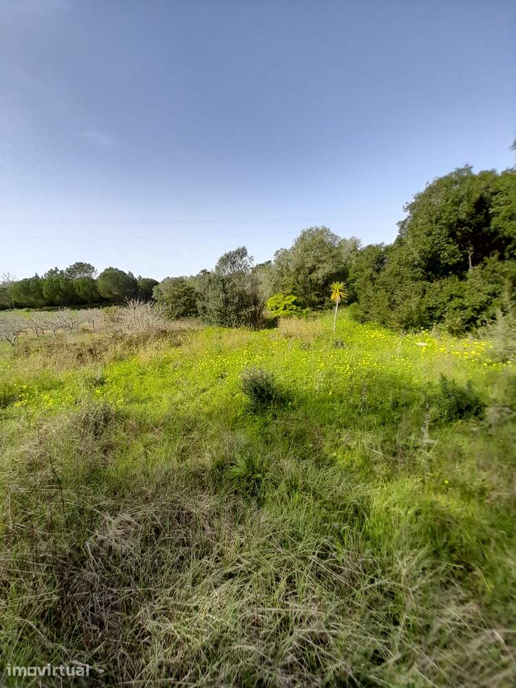 Terreno na Azóia com 5.600 m2 - Grande imagem: 3/8