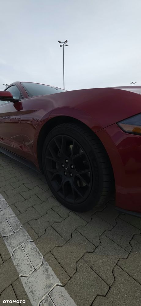 Ford Mustang 2.3 EcoBoost - 12