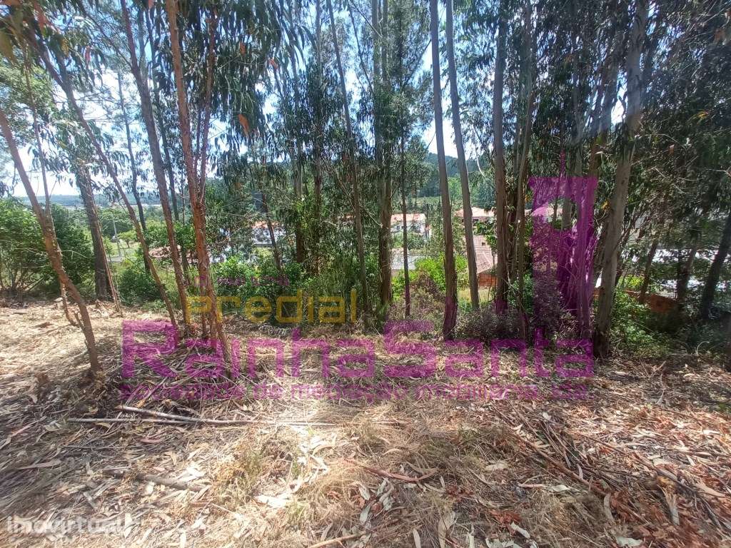 Terreno rústico com uma área de 3850m2 - Antanhol - Grande imagem: 4/7