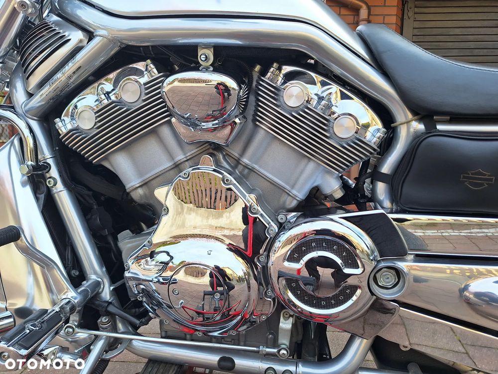 Harley-Davidson V-Rod Street Rod - 12