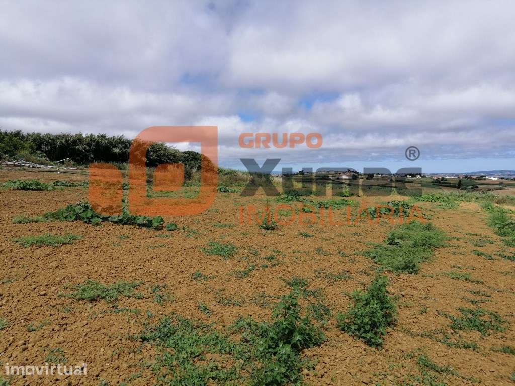 Fantástico terreno com viabilidade para construção de uma ou mais m... - Grande imagem: 5/11