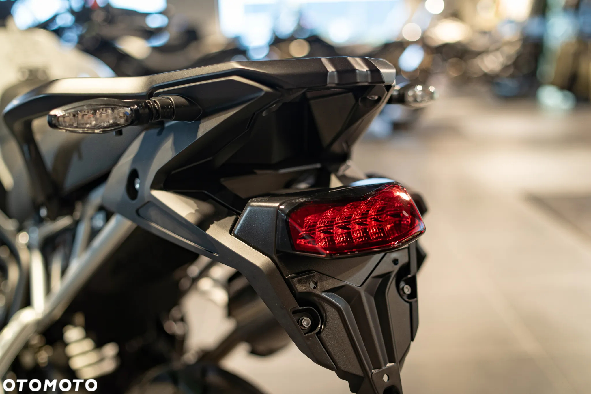 Triumph Tiger - 29