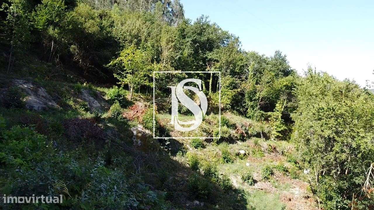 Terreno  Venda em Ventosa e Cova,Vieira do Minho - Grande imagem: 5/60