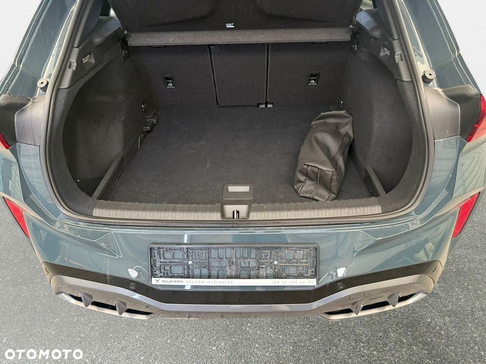 Cupra Terramar - 9