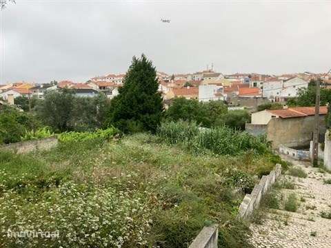 Terreno Urbano  Venda em Sintra (Santa Maria e São Miguel, São Martinh - Grande imagem: 3/11